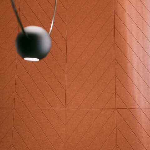 FISHBONE — projectfoto