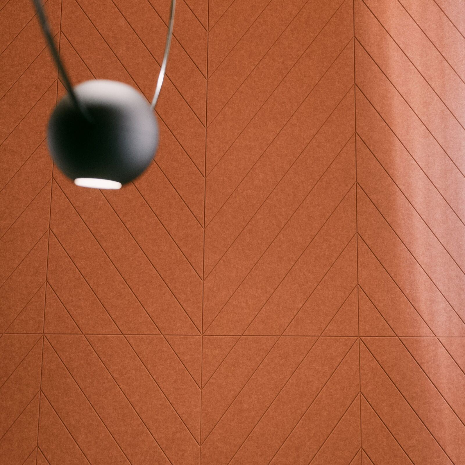 FISHBONE — projectfoto