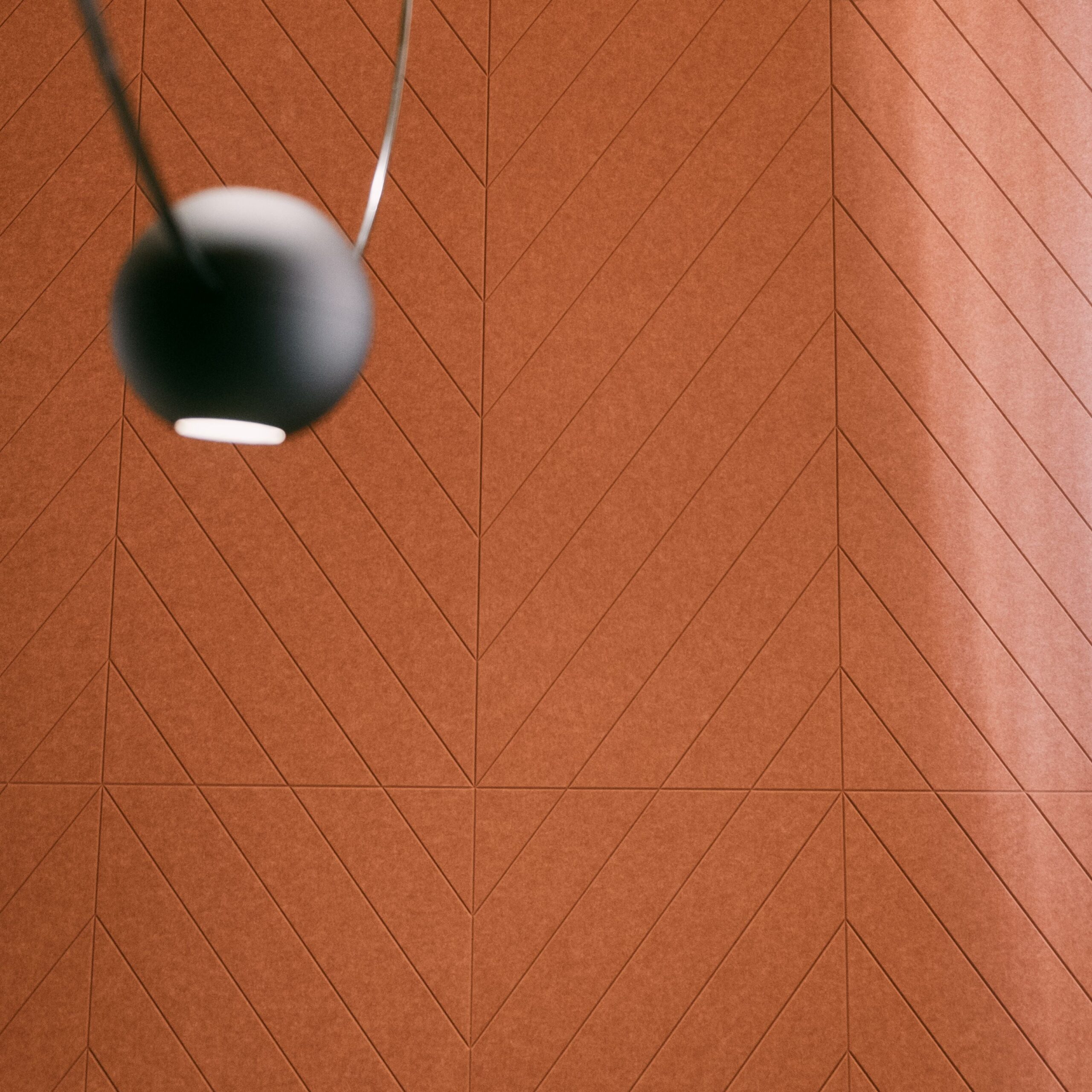 FISHBONE — projectbeeld