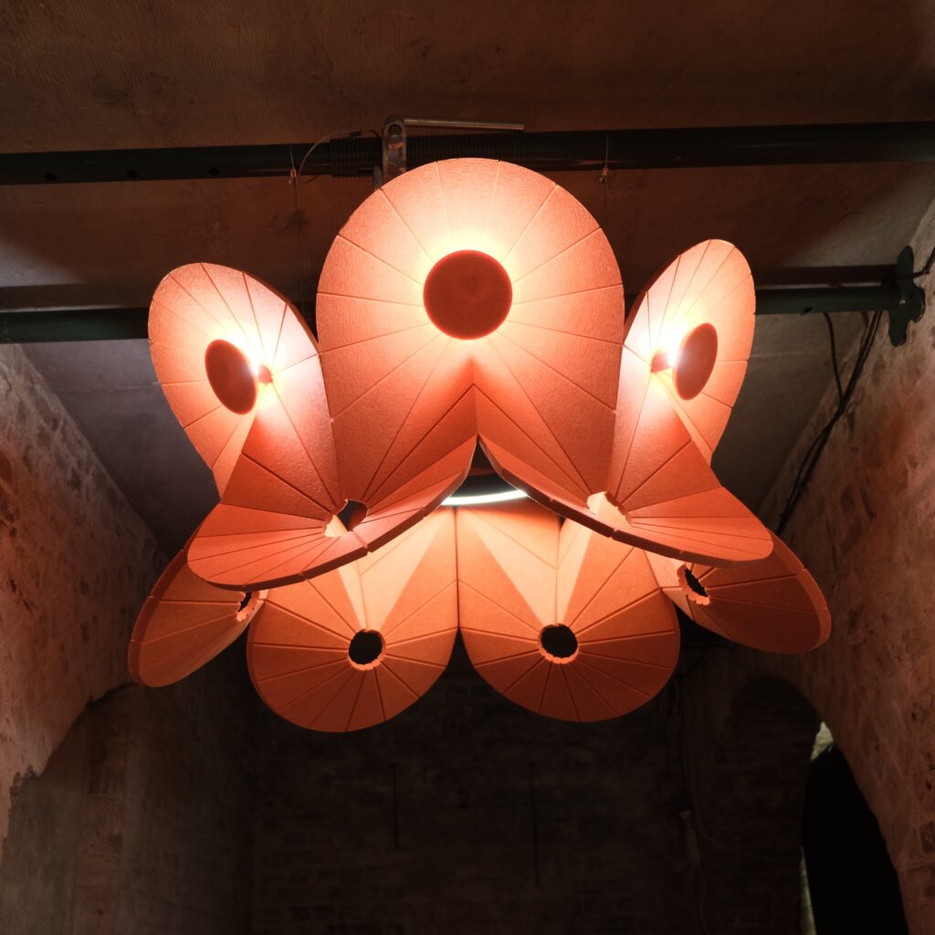 OLOID in een interieur