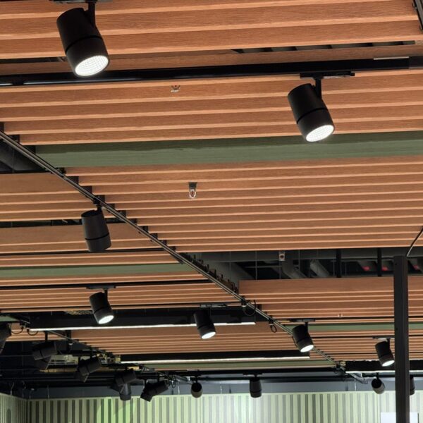 FOCUS 4 LIGHT INTEGRATION — spotset tussen plafondbalken